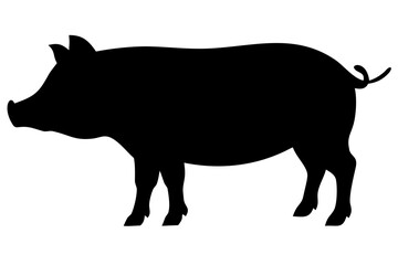 Fototapeta premium Kunekune Pig Silhouette animal farm animal