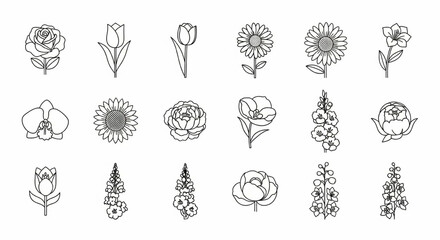 Flower Line Icon Set – Rose, Tulip, Daisy, Orchid, Sunflower, Peony, Gladiolus, Delphinium Vector

