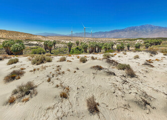 Wind turbines generating clean electricity in the desert with an oasis of palm trees in foreground...