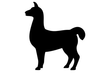 Silhouette of a llama standing animal mammal