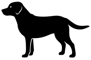 White Labrador Dog Silhouette animal