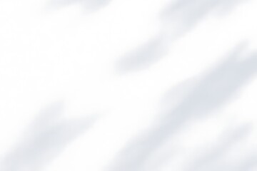 Obraz premium Soft sunlight casting gentle shadows on a clean, white wall in a serene indoor setting