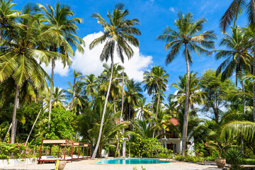 Scenic view of tropical resort paradise, panorama of palm trees and pool in summer, concept of...