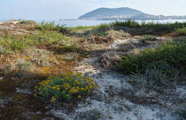 Rocks and vegetation the sea and mountains on the horizon