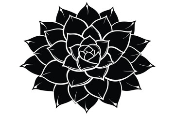 Black and White Graphic of a Succulent Plant with Layered Petals Design