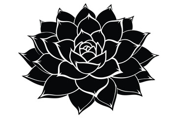Black and White Floral Design Featuring a stylized Succulent Plant with Sharp Petals