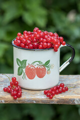 frische rote Johannisbeeren in alter Emaille-Tasse