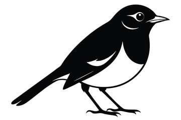 Detailed Vector Image of a Magpie Bird Standing with a Side View Stance