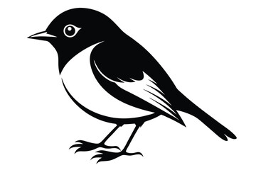 Stylized Illustration of a Black and White Bird with a Single White Eye