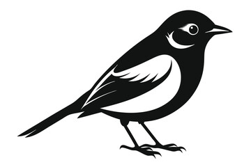 Simple Graphic of a Black and White Bird with Detailed Feathers and Eye