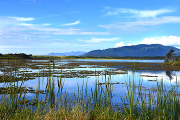 Tidal Flats in Oregon