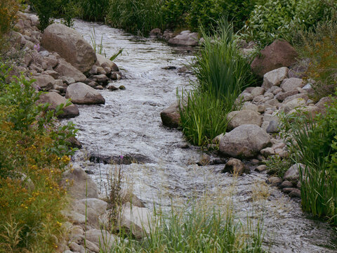 A running stream on a summer day