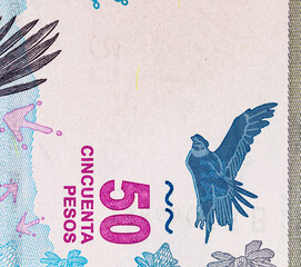 50 Pesos Argentina with the image of the Andean condor. Paper money of Argentina