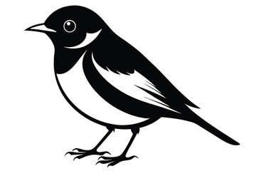 Elegant Black and White Magpie Bird Illustration Vector Graphic Design Image