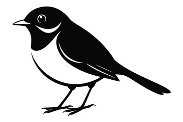 Black and white illustration of a bird with a white chest standing up