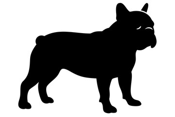 Obraz premium Mini bulldog dog silhouette on white background animal