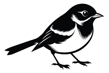Elegant Black and White Bird Illustration Detailed Graphic of a Petite Songbird
