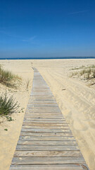 The wooden path leads through the sand dunes to the beach on the Atlantic coast. The real pastel colors of the Atlantic. Vertical format.
