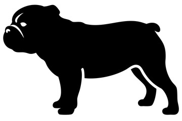 Mini bulldog dog silhouette on white background animal