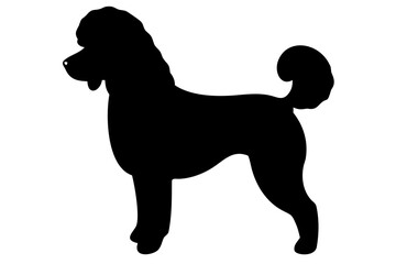 Dwarf Poodle Dog Silhouette animal canine