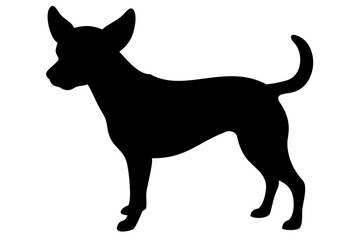 Brown chihuahua dog silhouette on white background