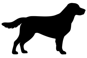 Golden Retriever Dog Silhouette animal 1
