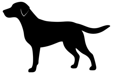 Golden Retriever Dog Silhouette animal 2