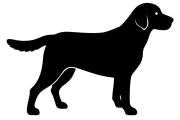 White Golden Retriever Dog Silhouette animal