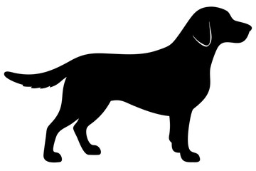 Golden Retriever Dog Silhouette on White Background 1