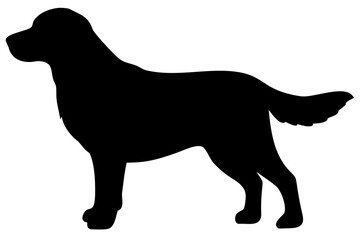 Golden Retriever Puppy Silhouette Sitting animal