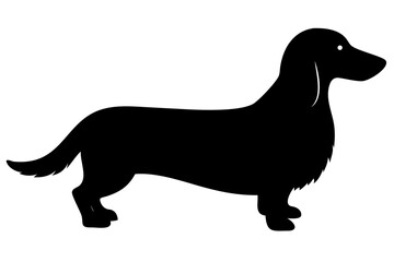 Long Haired Dachshund Dog Silhouette dachshund silhouette