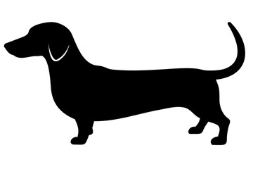 Red Dachshund Dog Silhouette animal