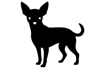 Red chihuahua dog silhouette on white background animal