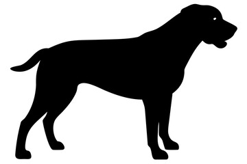 Rottweiler Dog Silhouette on White Background animal