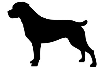 Rottweiler Dog Silhouette Standing Proudly animal