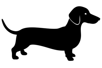 Short haired dachshund dog silhouette animal