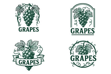 Set of vintage grape vine logo designs. Collection of retro fruit emblems for wine labels or packaging. Hand-drawn vineyard sketch illustration. Organic food icon set.