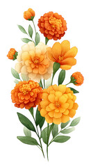 Watercolor Style Orange and Yellow Marigold Bouquet on Transparent Background