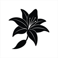 Black Lily Vector Art for Floral Designs