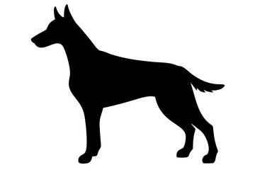 Long Haired Doberman Dog Silhouette animal