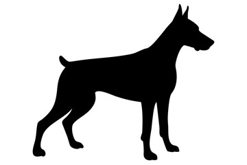 Red Doberman Dog Silhouette animal canine