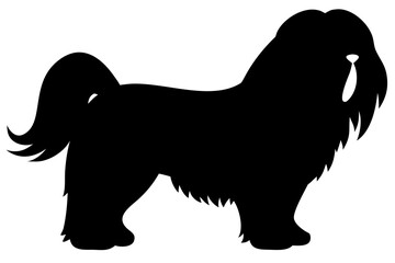 Shih Tzu Dog Silhouette on White Background animal
