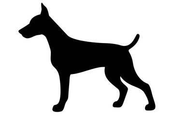 Silhouette of a doberman dog standing on a white background