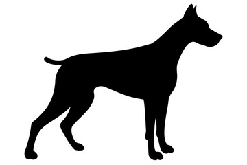 Silhouette of a Doberman Pinscher Dog Standing animal