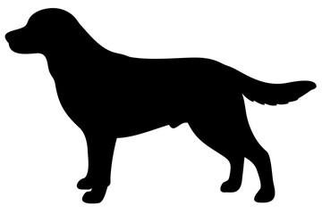 Tan Golden Retriever Dog Silhouette animal
