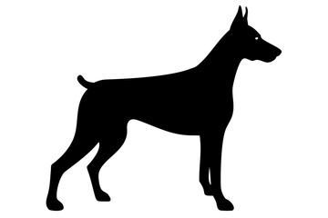 White Doberman Dog Silhouette animal