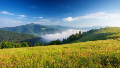 Fototapeta premium countryside mountain landscape with morning fog alpine scenery of sunny transcarpathia under blue sky with clouds forest behind the meadow on the edge of a hill distant rural valley in mist