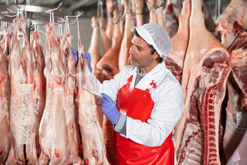 Professional butchery owner interested in maintaining quality of meat products, measuring...