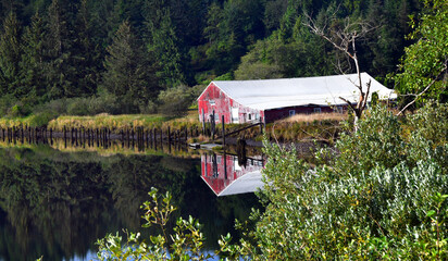 Colorful Red Shed on the Tillamook River