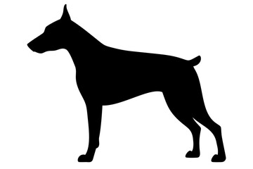 Black Doberman Dog Silhouette animal